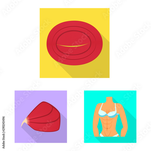 Isolated object of muscle and cells logo. Collection of muscle and anatomy stock vector illustration.