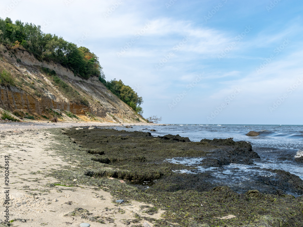 the steep bank, sandstone outcrops in the shallow Baltic Sea coast, Zelenogradsk, Russia the steep bank, sandstone outcrops in the shallow Baltic Sea coast, Zelenogradsk, Russia