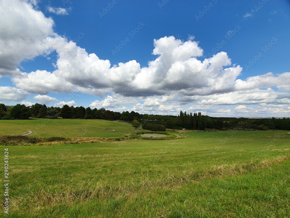 green field and blue sky