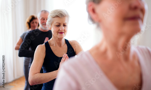 Quadro em tela Group of senior people doing yoga exercise in community center club