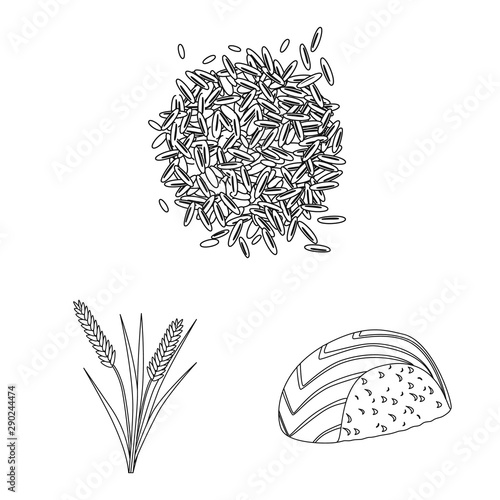 Isolated object of diet and cooking icon. Collection of diet and organic stock symbol for web.