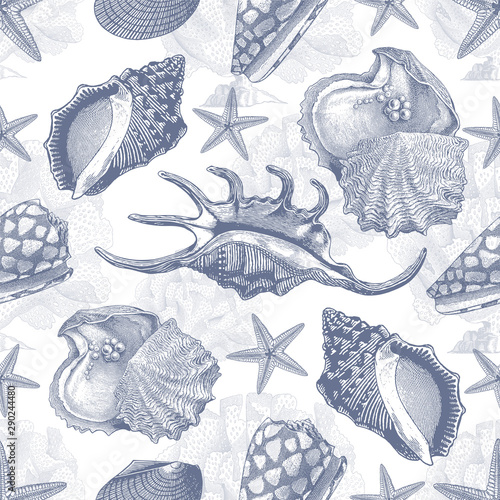 Summer time seamless texture. Hand drawn sea shells and stars collection. Marine illustration of ocean shellfish.