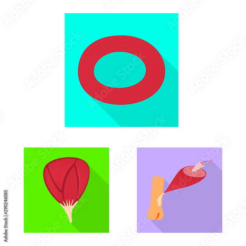 Isolated object of muscle and cells symbol. Set of muscle and anatomy vector icon for stock.