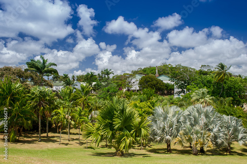 Panoramic view of palm garden that covers a distillery of Rom.