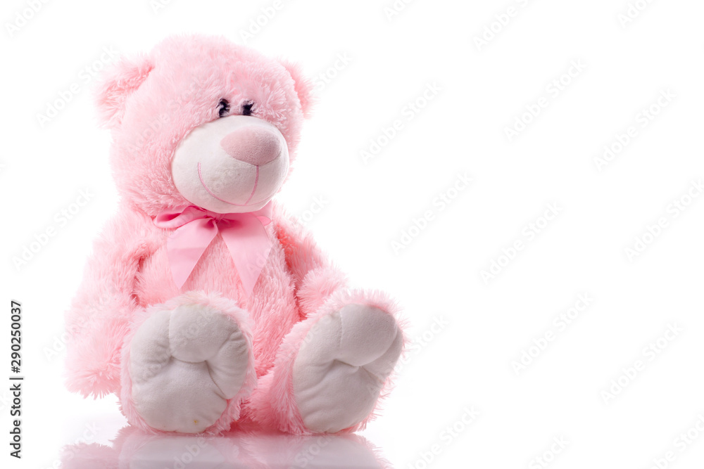 Lovely cute pink teddy bear isolated on white background. Lovely cute pink teddy bear isolated on white background.