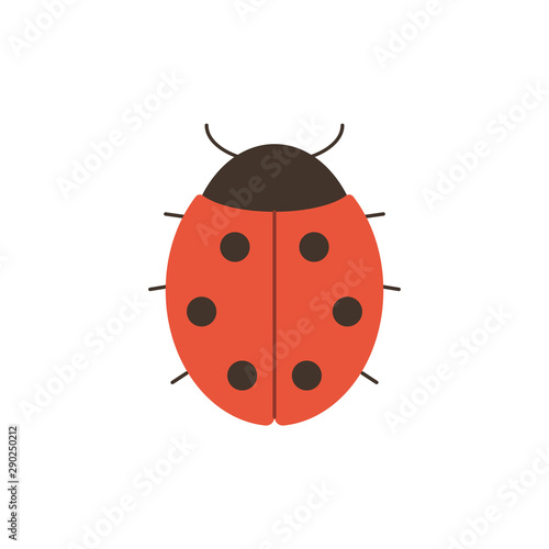 Cute ladybug in flat style isolated on white background.