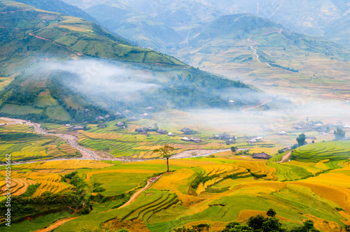 Beautiful terraced rice field in Mu Cang Chai, Vietnam © meogia