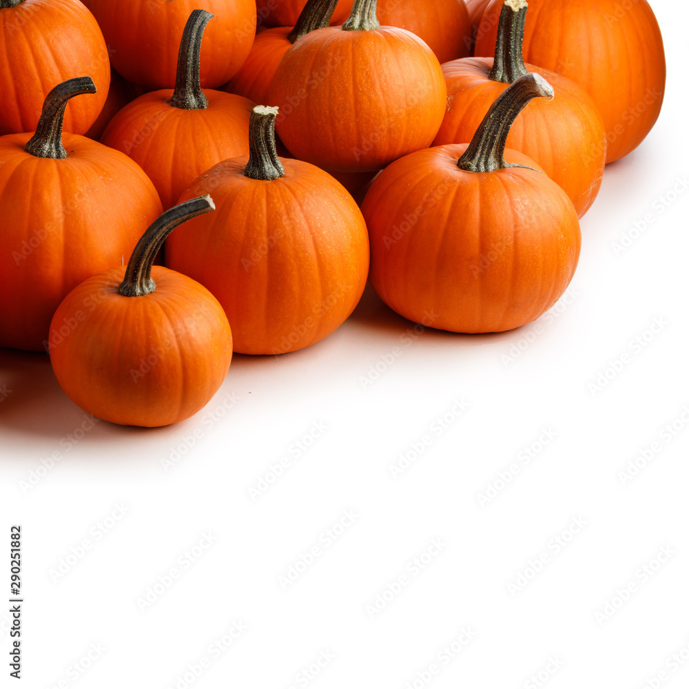 Many pumpkins background Many pumpkins background