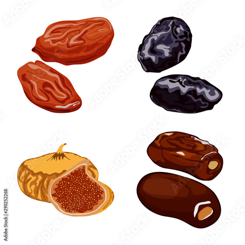 Vector illustration of fruit and dried symbol. Collection of fruit and food stock vector illustration.
