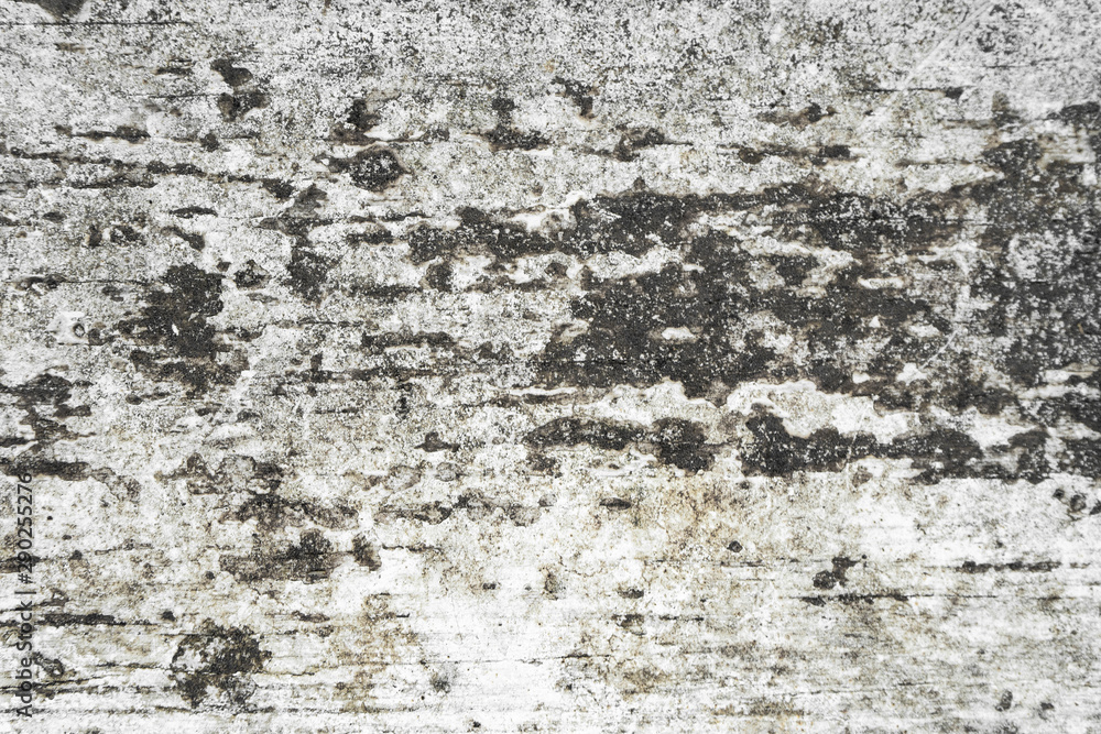 Fototapeta premium old white wood texture, dirty white background,grunge background,