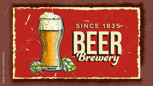 Beer Glass Cup Brewery Advertising Poster Vector. Full Cup With Foam Alcoholic Drink And Green Bullion Hops On Promotional Banner Of Tavern. Designed Label Beverage Flat Cartoon Illustration