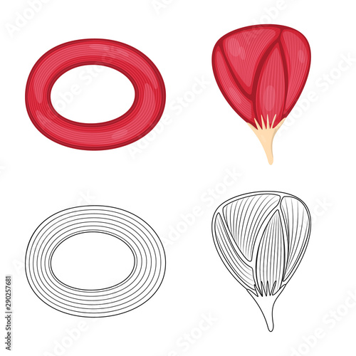 Vector illustration of fiber and muscular sign. Set of fiber and body stock symbol for web.