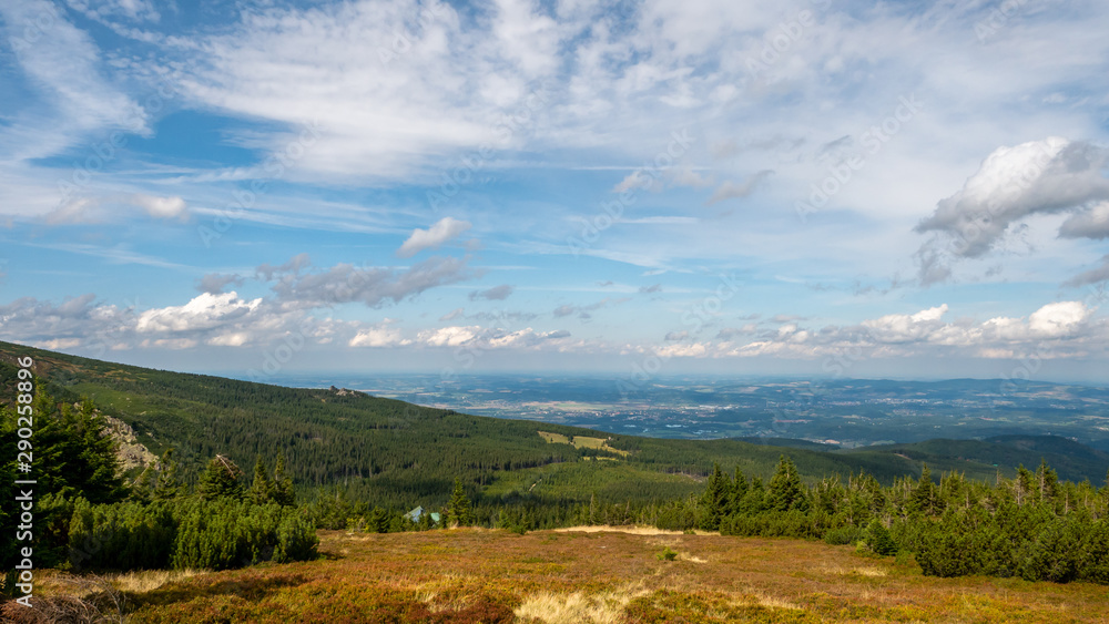 Fototapeta premium Mountain landscape with trees and meadow - Giant Mountains, Karkonosze, Poland. 