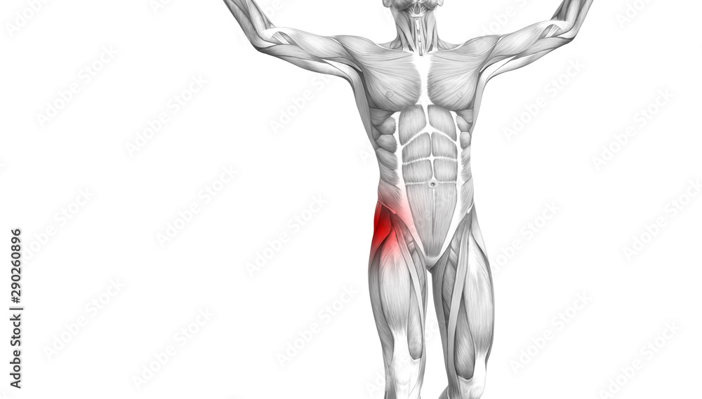 Conceptual hip human anatomy with red hot spot inflammation articular joint pain for leg health care therapy or sport muscle concepts. 3D illustration man arthritis or bone sore osteoporosis disease