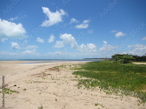 Wide beach with green vegetation. Clean sand and cloud blue sky. Brazil northeast beach  Bahia 