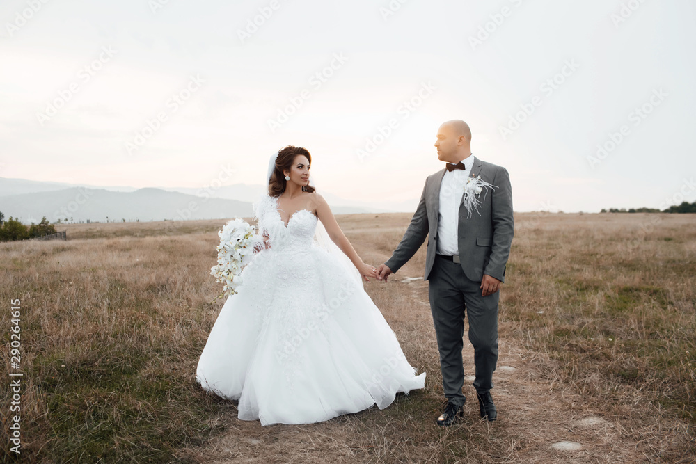 Romantic wedding couple having fun together outdoor at field. Groom and bride in a wedding dress going through the field on a background of blue sky at sunset. Wedding. Loving wedding couple Romantic wedding couple having fun together outdoor at field. Groom and bride in a wedding dress going through the field on a background of blue sky at sunset. Wedding. Loving wedding couple