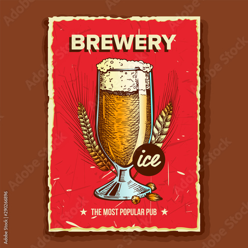 Foamy Beer Glass Brewery Advertising Banner Vector. Full Cup With Ice Alcohol Drink Beer And Spikelets Of Wheat On Promotional Poster Of Popular Pub. Beverage Flat Cartoon Illustration