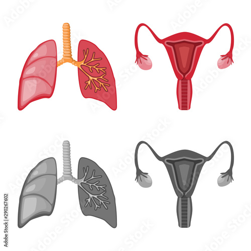 Vector design of biology and scientific symbol. Set of biology and laboratory stock vector illustration.