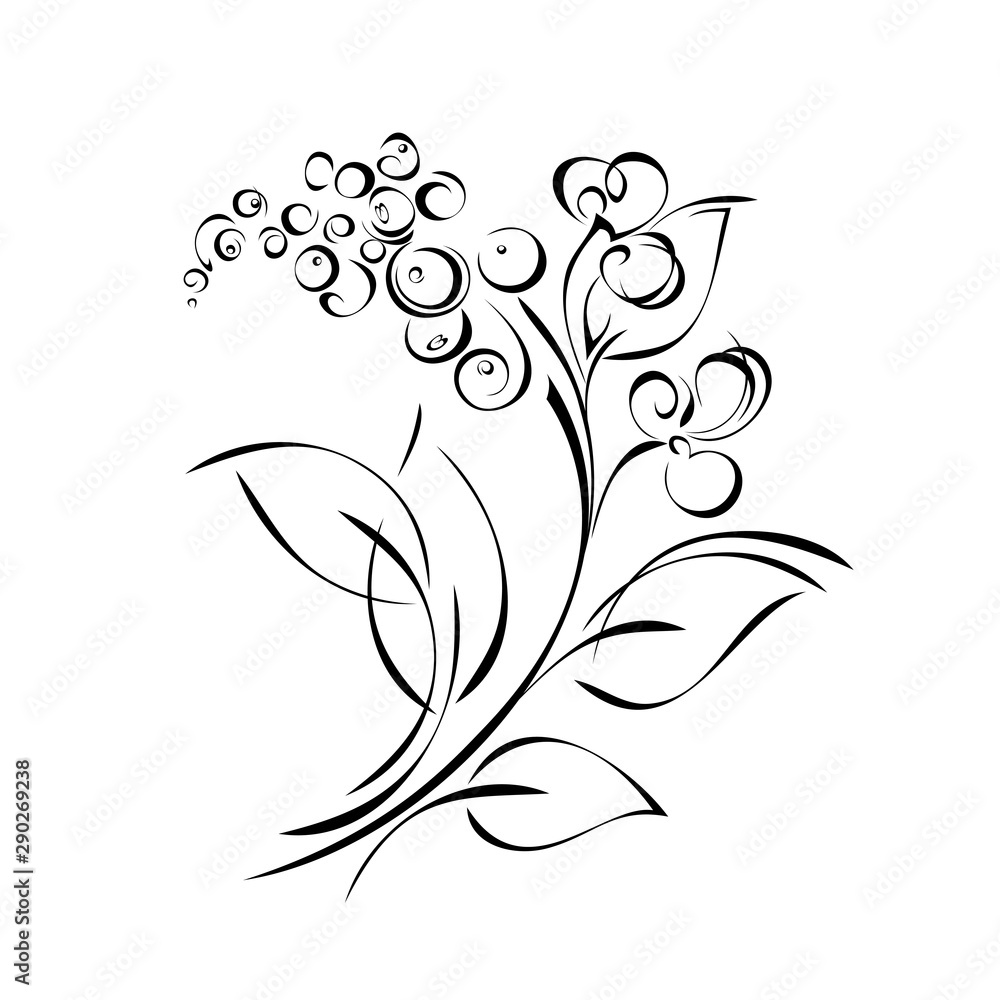 twig with leaves and with stylized flowers in black lines on a white background twig with leaves and with stylized flowers in black lines on a white background