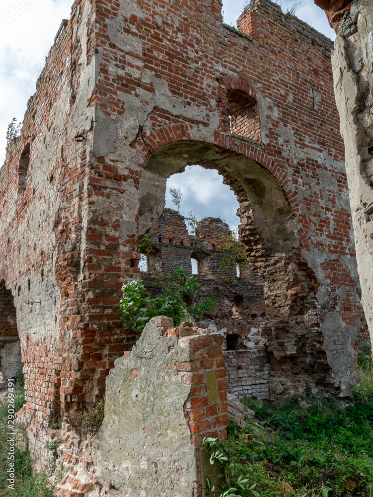 Fototapeta premium impressive ruins, from the castle built in 1266, red brick walls, trees on the walls, Castle Brandenburg, Kaliningrad Oblast, Russia
