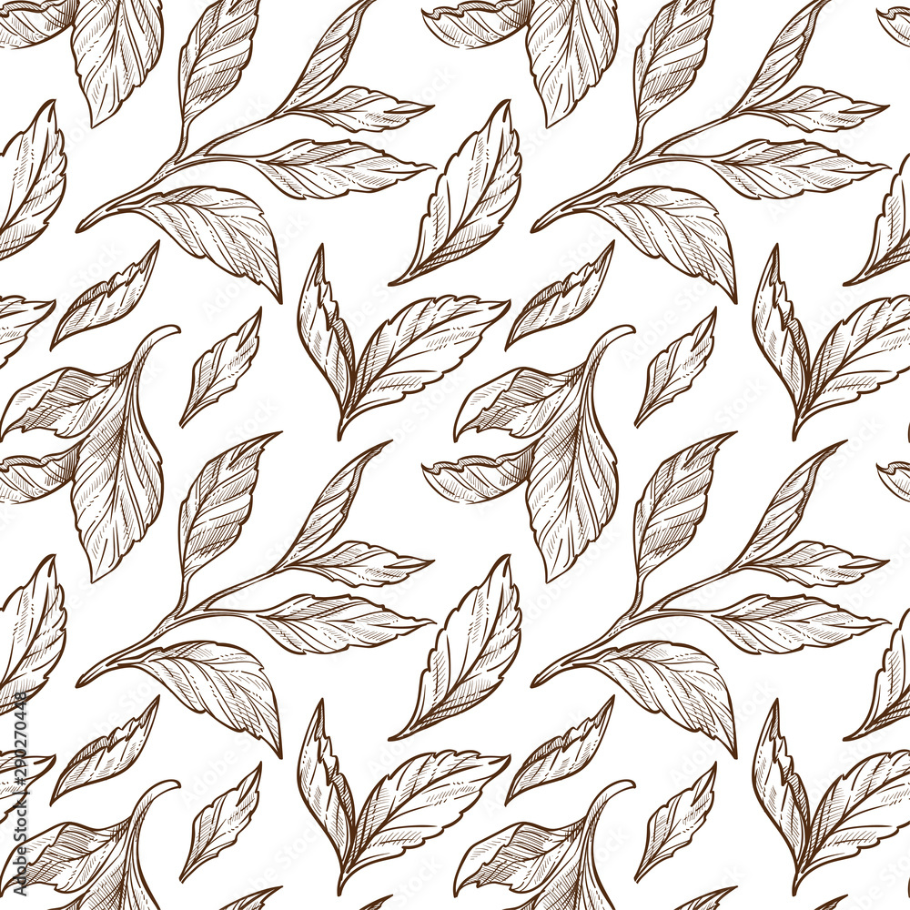 Fototapeta premium Tea leaves sketch seamless pattern, plant or organic product