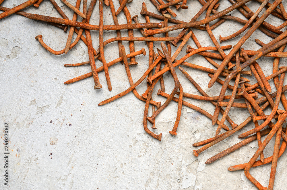 Fototapeta premium Rusty nails on a cement metal background