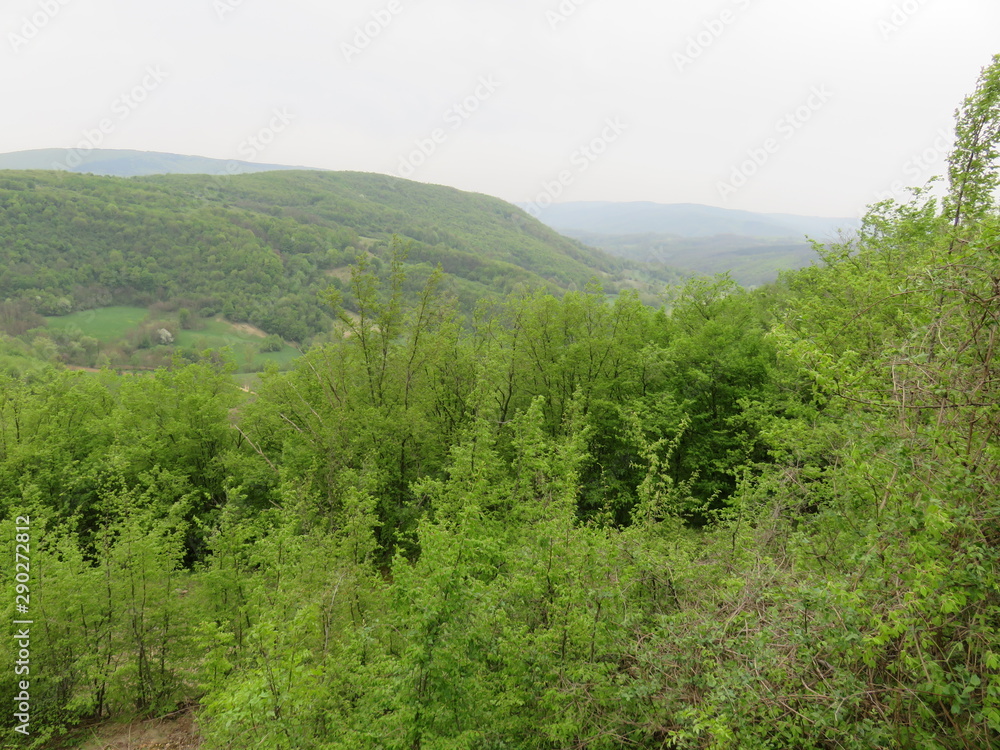 Obraz premium Landscape from the mountain