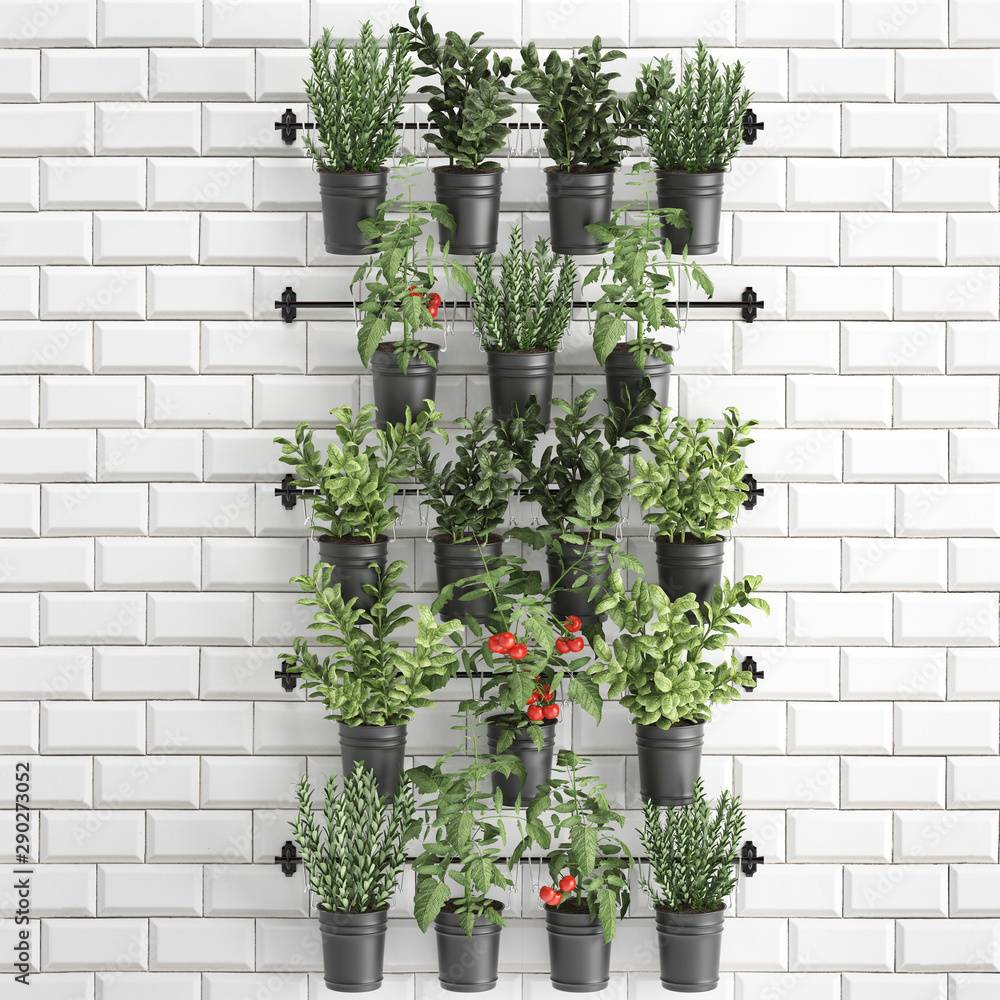 Decorative plants for the kitchen on railing in a bucket	