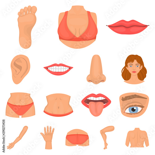 Isolated object of body and part sign. Collection of body and anatomy stock vector illustration.