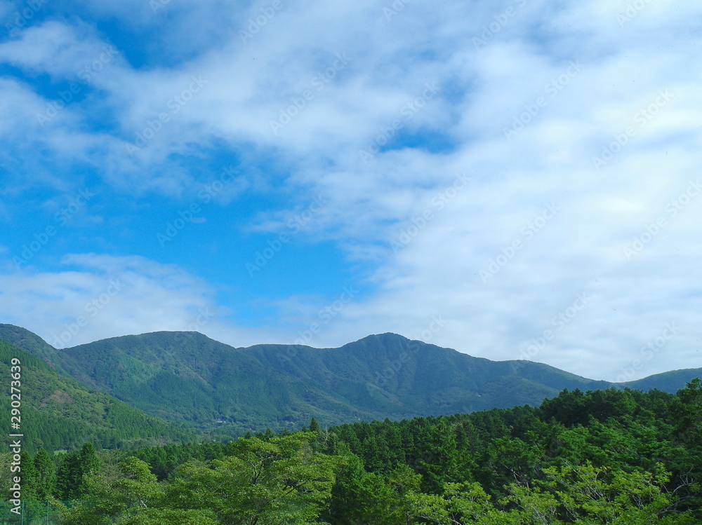 晴れた日の山