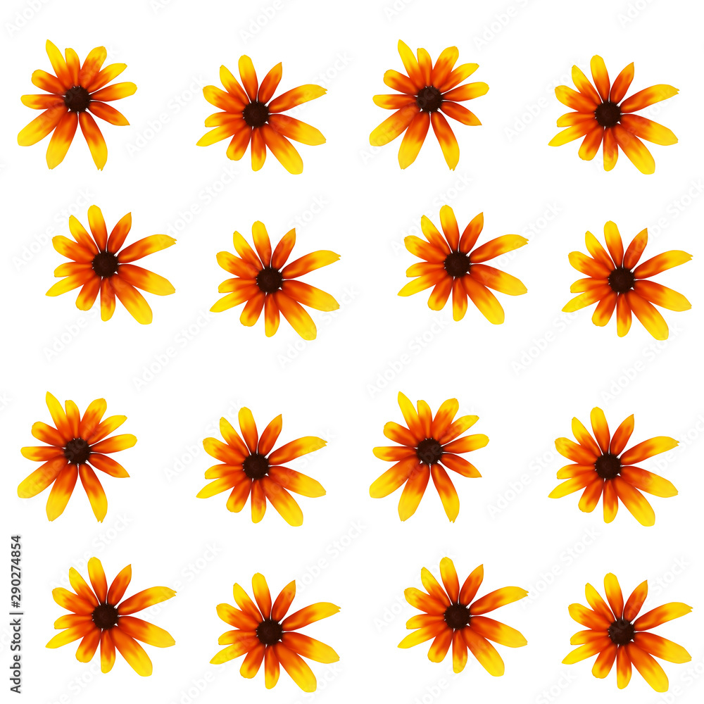 Colorful yellow echinacea on white background. Seamless pattern. Vector illustration Colorful yellow echinacea on white background. Seamless pattern. Vector illustration