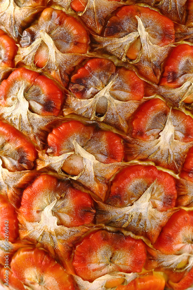 Peau d'ananas à motif en alvéoles en gros plan pris au macro pour un effet de texture pour un fond avec des nuances de couleurs vives allant du jaune au rouge en passant par l'orange Peau d'ananas à motif en alvéoles en gros plan pris au macro pour un effet de texture pour un fond avec des nuances de couleurs vives allant du jaune au rouge en passant par l'orange