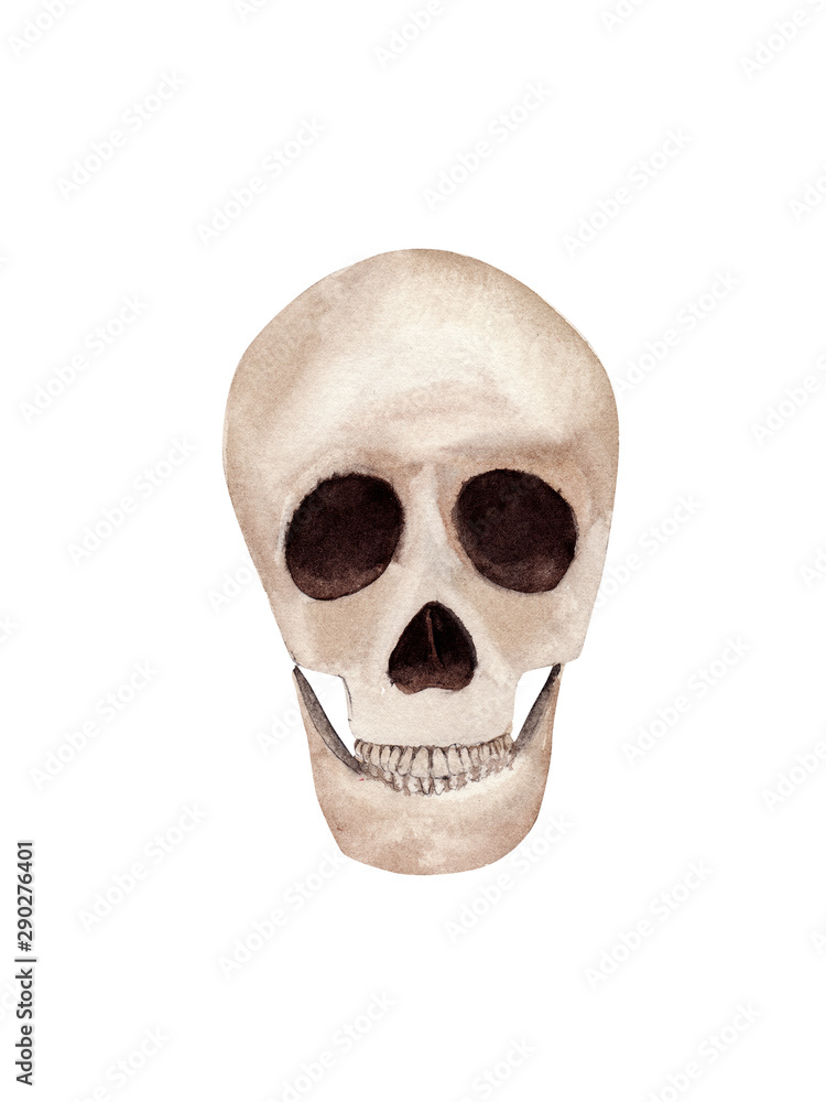 Obraz premium Hand drawn Watercolor human skull. Halloween illustration.