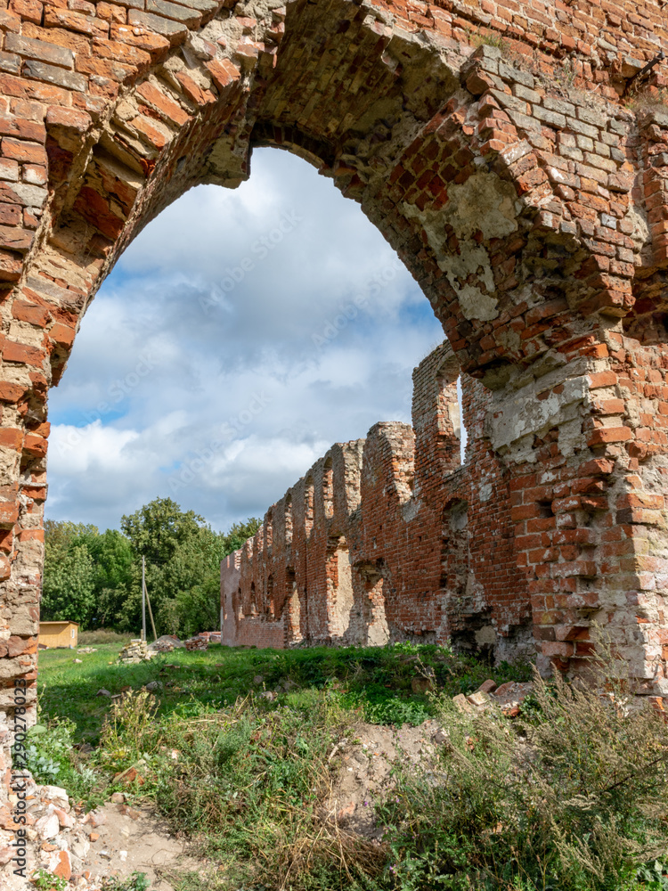 impressive ruins, from the castle built in 1266, red brick walls, trees on the walls, Castle Brandenburg, Kaliningrad Oblast, Russia