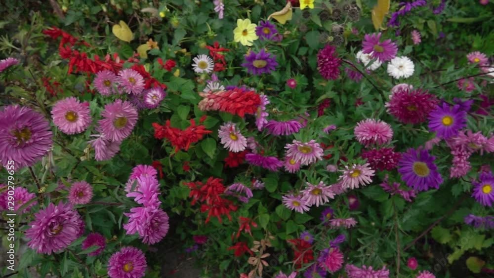 Panorama of the autumn flower garden from above Panorama of the autumn flower garden from above