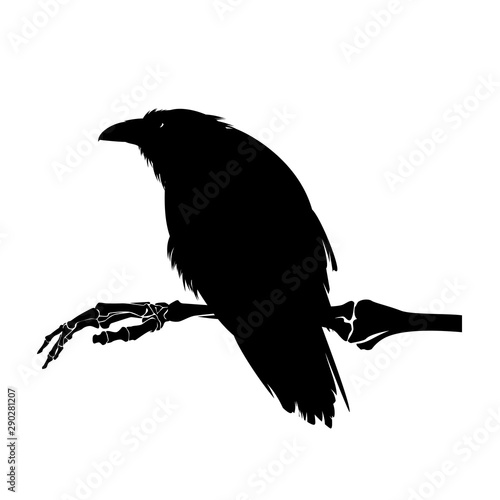 ominous raven bird sitting on human skeleton hand - halloween dark witchcraft black and white vector design