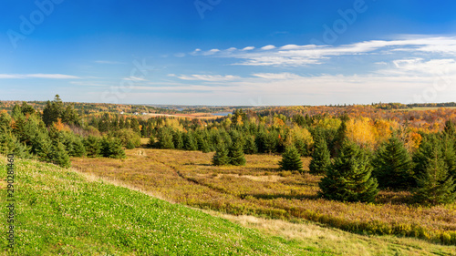 Colorful full foliage in rural Prince Edward Island, Canada.