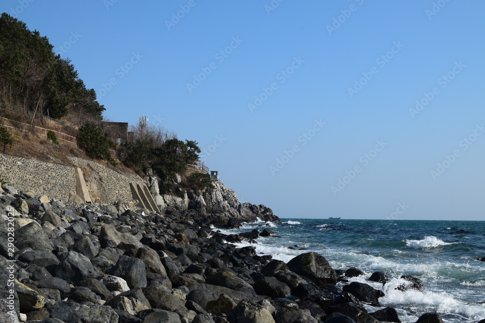 海 海