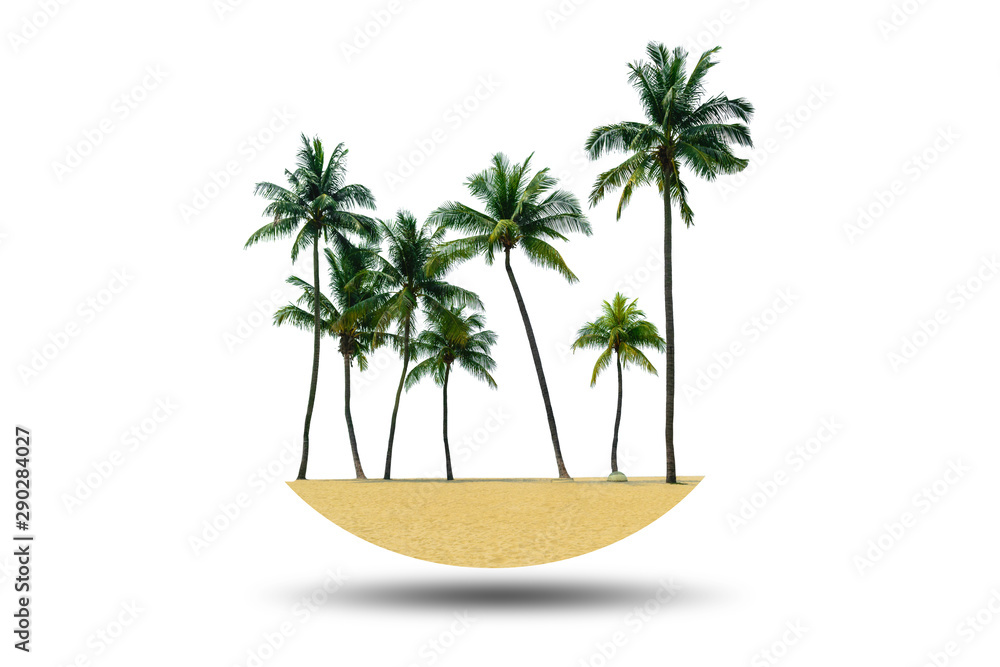 Fototapeta premium Group of coconut trees with the sands on the beach isolated on white background.