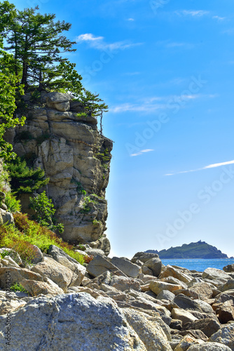 Landscape-a cliff with larch trees