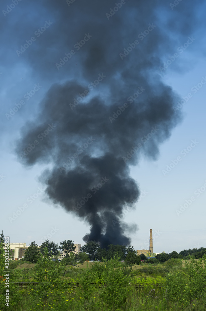 Warehouse ignition. Big fire in the forest. Warehouse ignition. Big fire in the forest.
