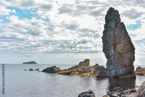 Sea landscape in silver morning with rock. On the horizon Chikhachev island, Primorsky Krai, Russia photo