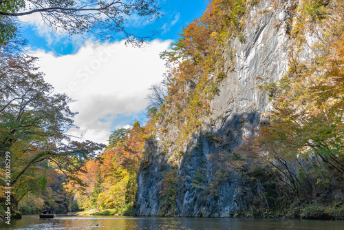 Fototapeta Naklejka Na Ścianę i Meble -  Geibi Gorge ( Geibikei ) Autumn foliage scenery view in sunny day. Beautiful landscapes of magnificent fall colours in Ichinoseki, Iwate Prefecture, Japan