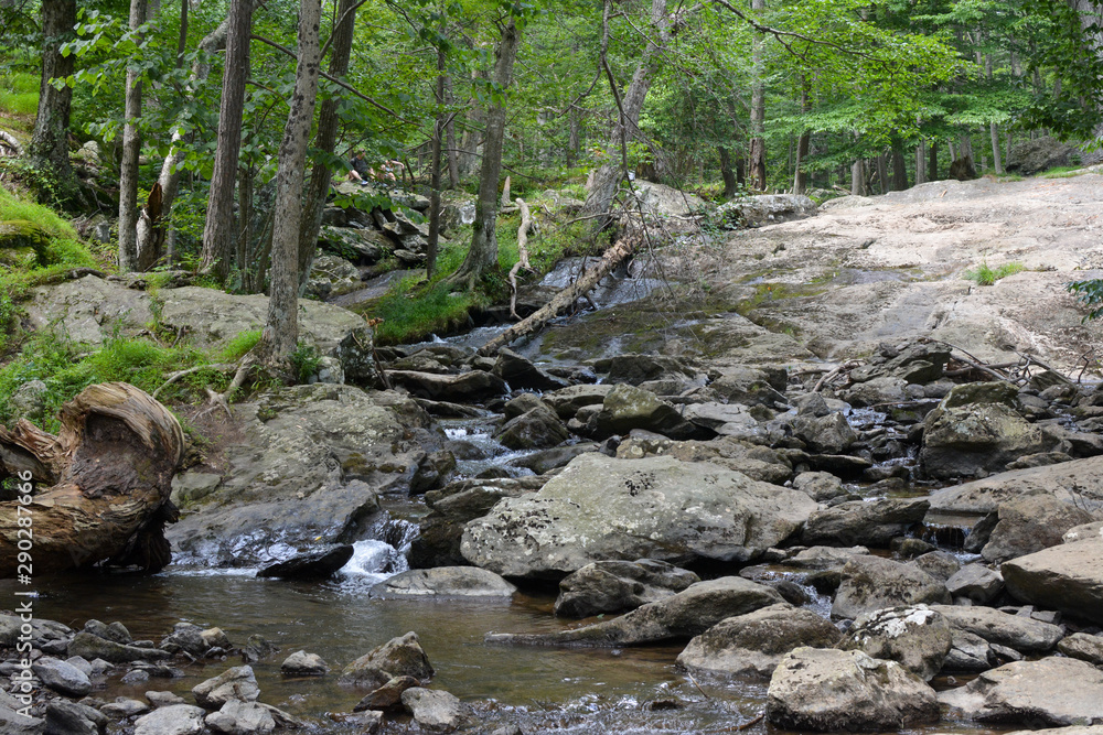 Mountain trout stream in a secluded wooded area