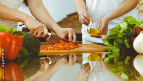 Closeup of human hands cooking in kitchen. Mother and daughter or two female friends cutting vegetables for fresh salad. Friendship, family dinner and lifestyle concepts