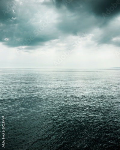 Принти на полотні Looking out at the sea
