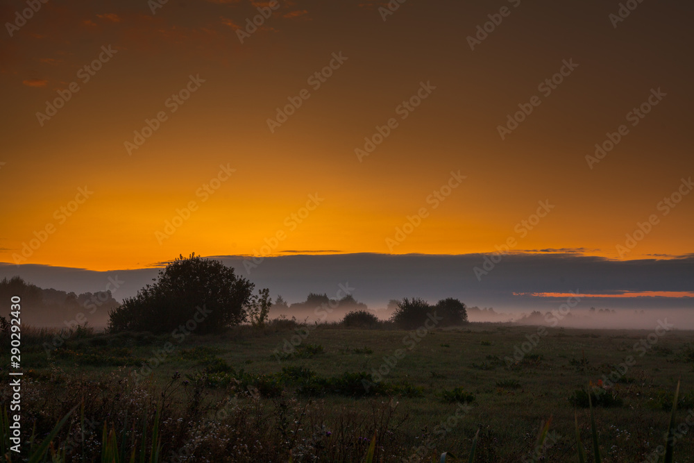Evening fog spreads beautifully on the ground Evening fog spreads beautifully on the ground