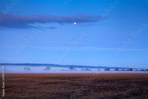 Morning fog