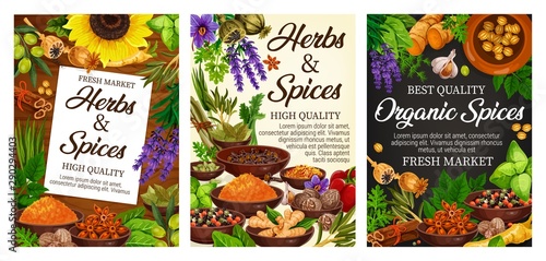 Herbs and spices, herbal condiments