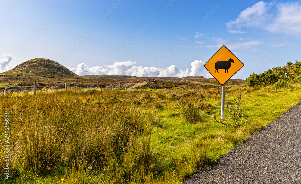 A Sign makes attention for Sheeps Crossing the Street in Ireland